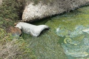 Heat Recovery From Waste Water Opt