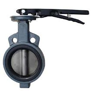 butterfly valve1