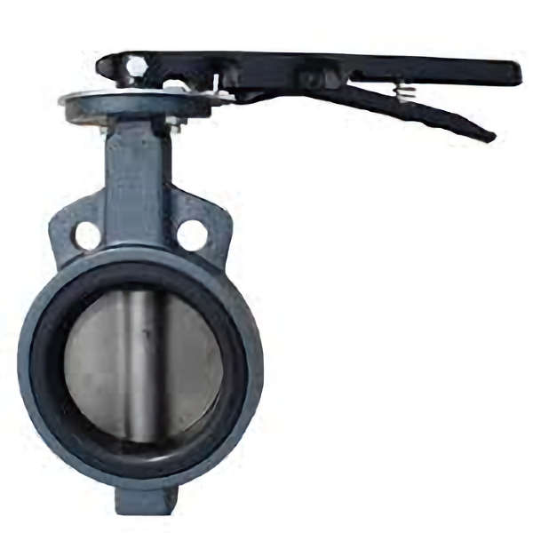 butterfly valve1