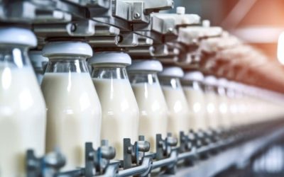 Dairy
